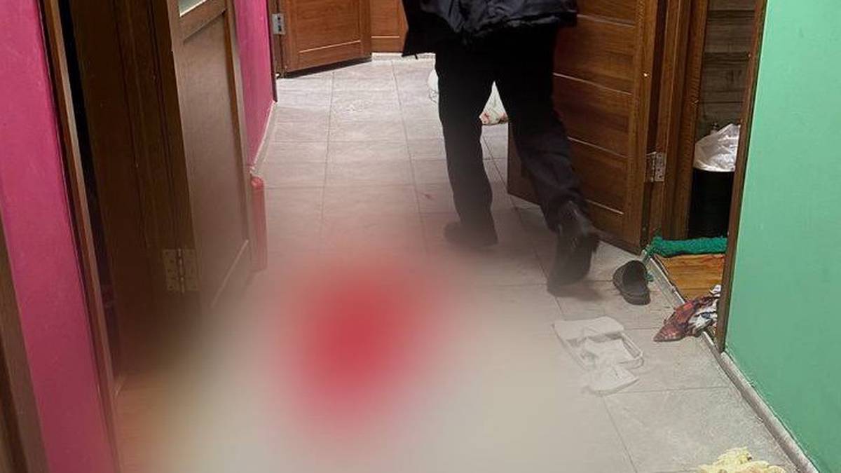 Москвичка, убившая возлюбленного в хостеле в СВАО, предстанет перед судом
