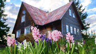 Что нужно сделать на дачном участке весной