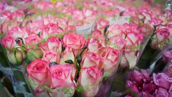 Экономист предупредил о 20-процентном повышении цен на цветы из-за санкций ЕС 