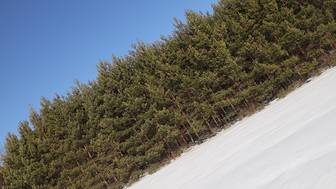 «Небольшой вертолет»: появилась новая версия пропажи семьи Усольцевых