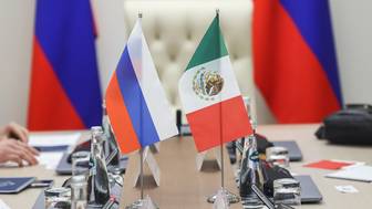 Захарова: МИД вызвал посла Мексики из-за удержания россиянки Романовой