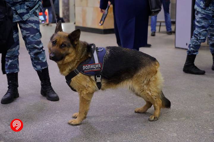 Фото: Пресс-служба Дептранса Фото: Пресс-служба Дептранса