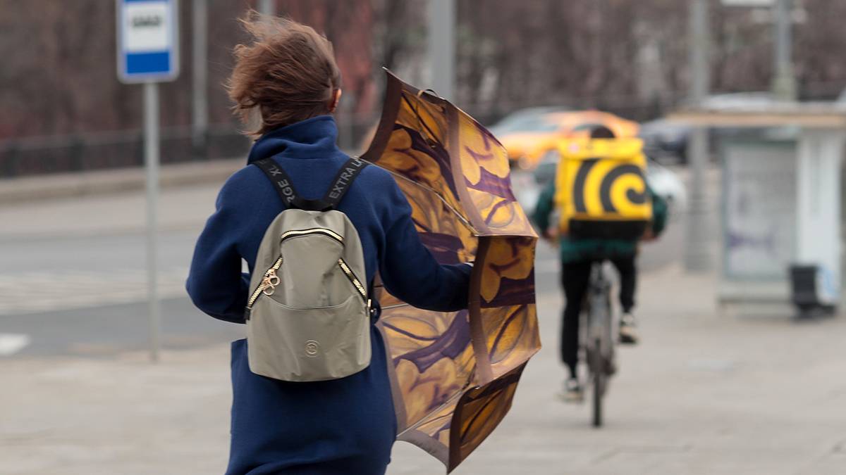 Сильный дождь, ветер и гроза: москвичей предупредили об ухудшении погоды