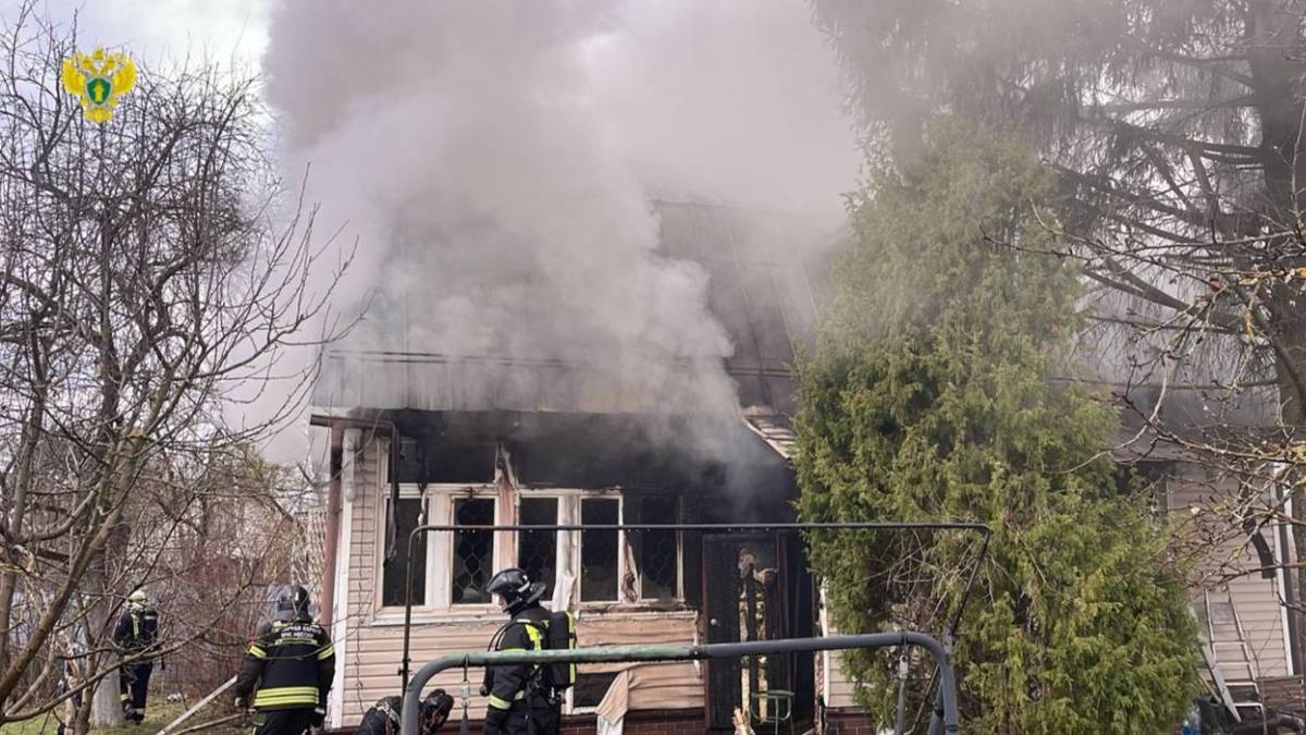 Мужчина погиб во время пожара в частном жилом доме в Новой Москве