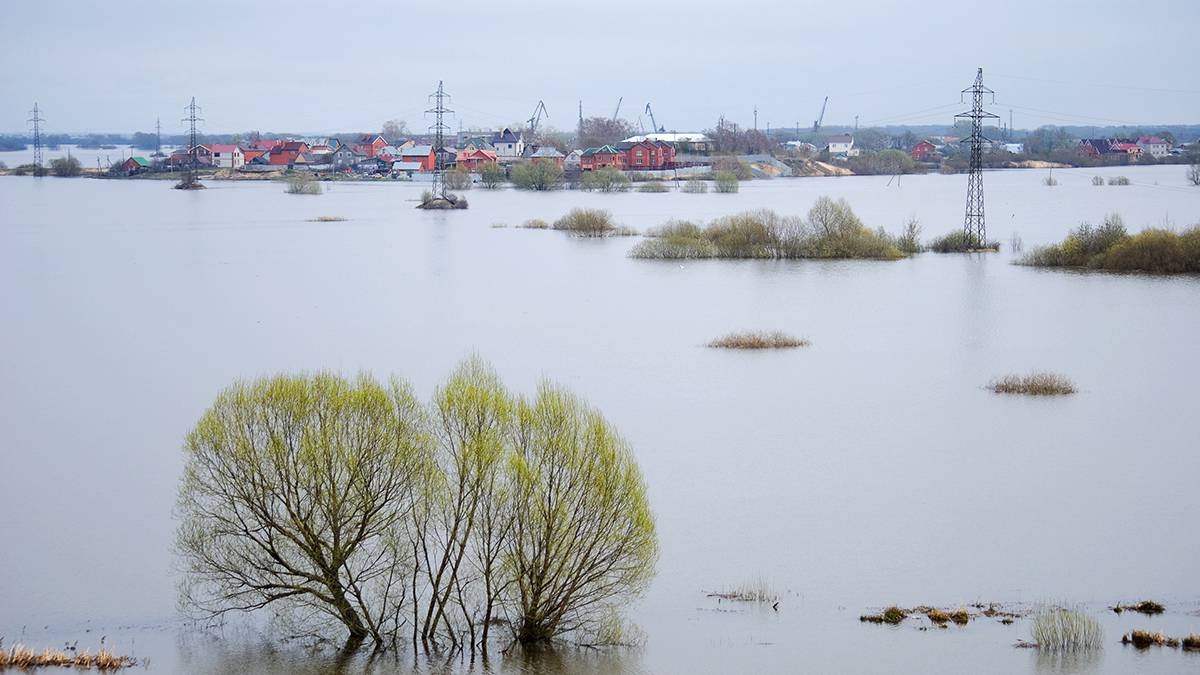 «Земляки, уходите»: губернатор Курганской области сделал заявление из-за паводка