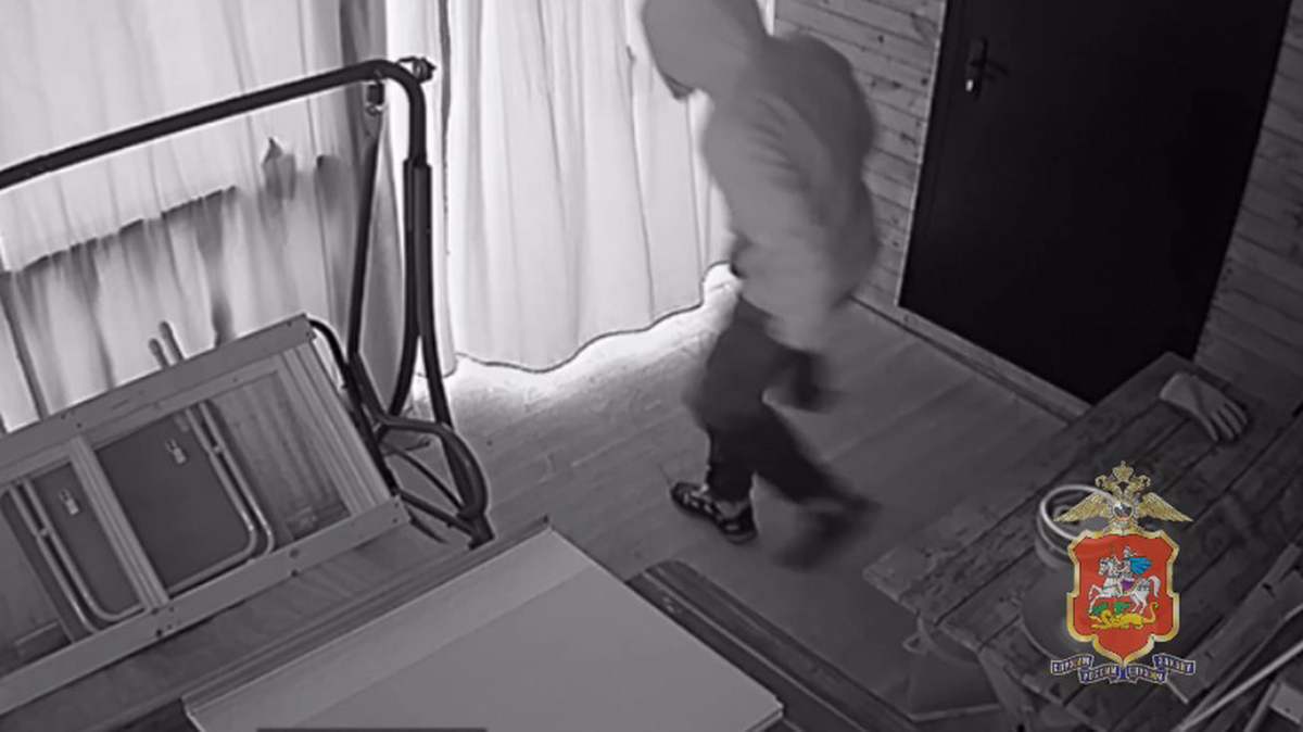 Домушник напал на полицейского с ножом в Подмосковье