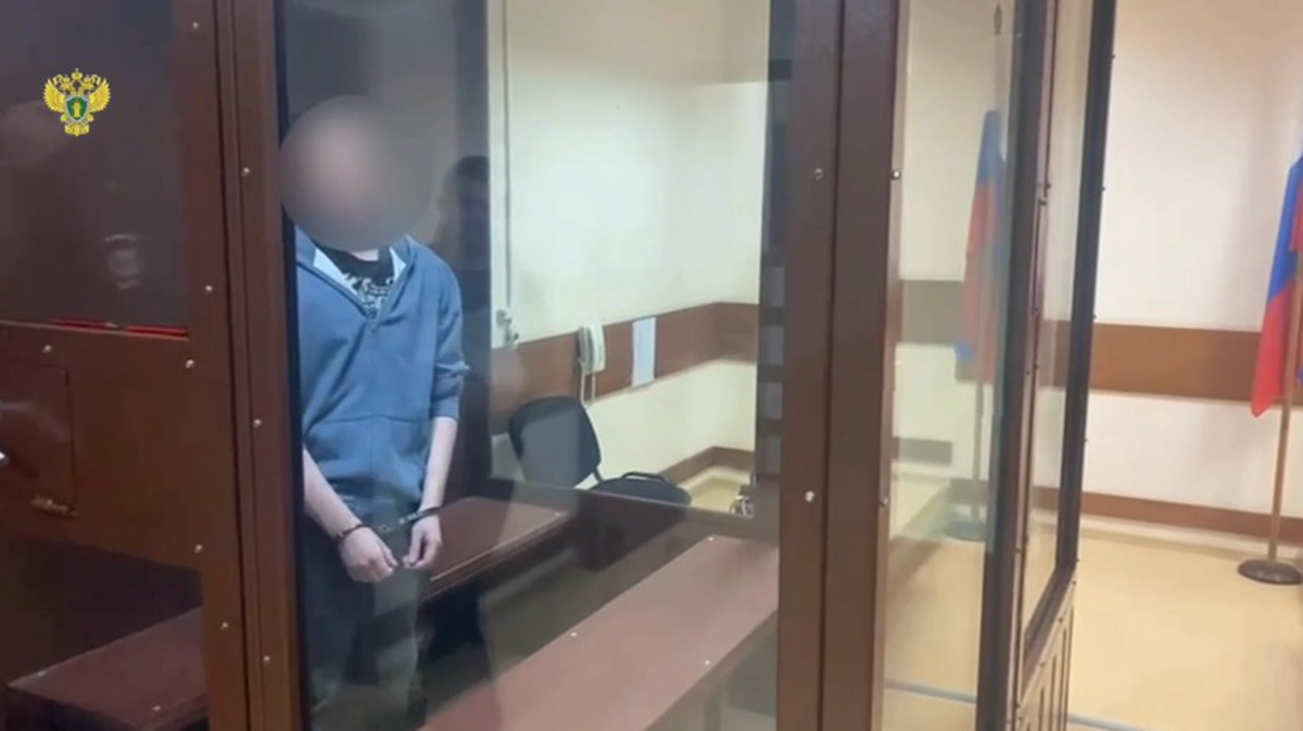 Ударившего девушку ножом в шею в центре Москвы заключили под стражу