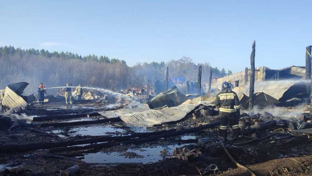 Животные погибли в крупном пожаре в деревне в Башкортостане