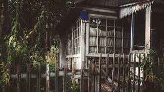 У пермского дачника отняли земельный участок из-за сорняков