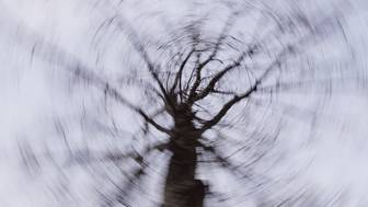 Спасатели возобновили поиски пропавшей семьи Усольцевых под Красноярском