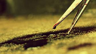 Мужчина зарезал бывшую жену ножницами, которые она принесла на могилу сына