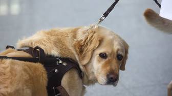 Нарколог Шуров предупредил об опасности ветеринарных препаратов для подростков