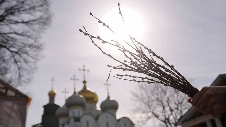 Утром встанем первые! Воскресенье Вербное!