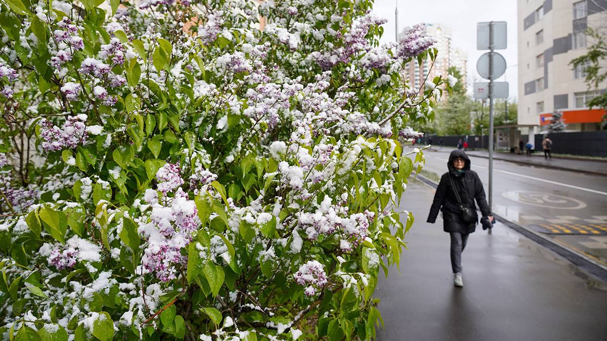 Синоптики спрогнозировали в Москве облачную погоду и до плюс 9 градусов 12 мая