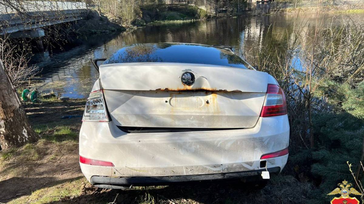 Автомобиль с пятью подростками съехал в реку под Петербургом, двое погибли