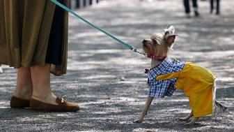 Праздники 14 января 2026 года