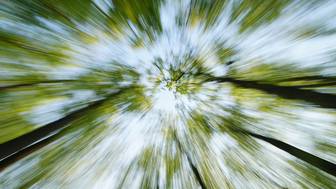 Волонтеры возобновят поиск семьи Усольцевых, когда потеплеет