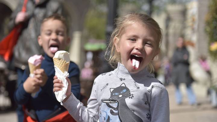 Когда деревья были большими