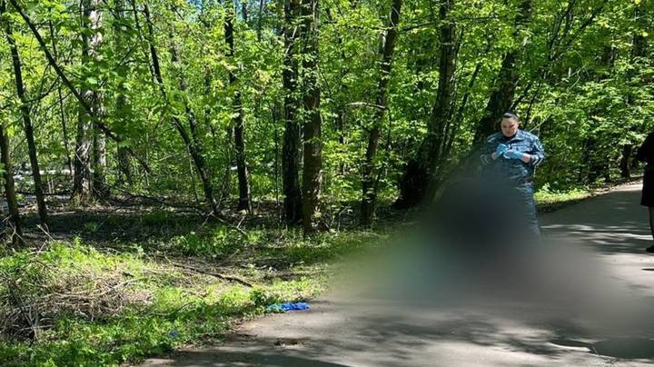В болоте, с отравлением: что известно о найденной в Измайловском парке 13-летней девочке