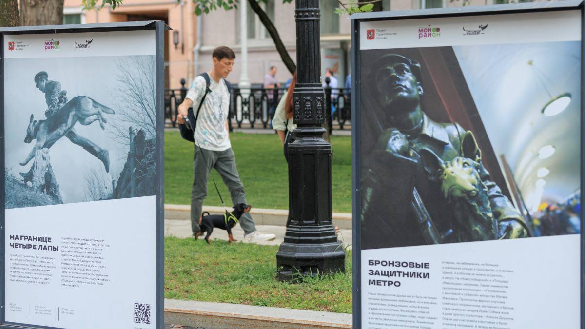 На Тверском бульваре открылась фотовыставка проекта «Друг, спасатель, защитник»