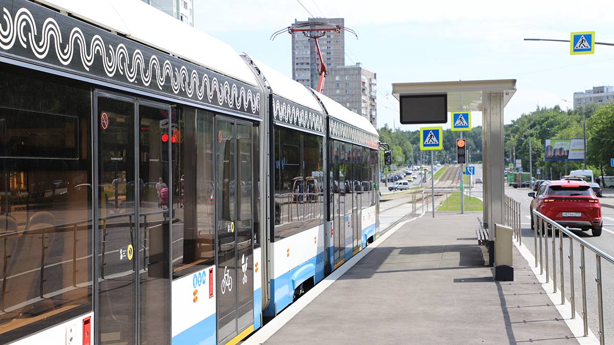 Трамваи в Симферопольском проезде задерживаются из-за дерева на контактной сети