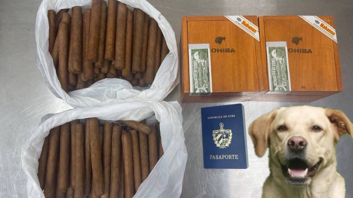 Таможенники задержали в Шереметьеве кубинца с контрабандными сигарами