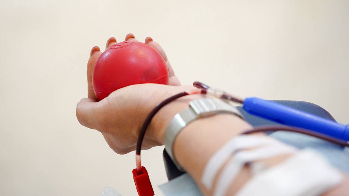 Эксперт Пономарева рассказала, кто может стать донором крови 