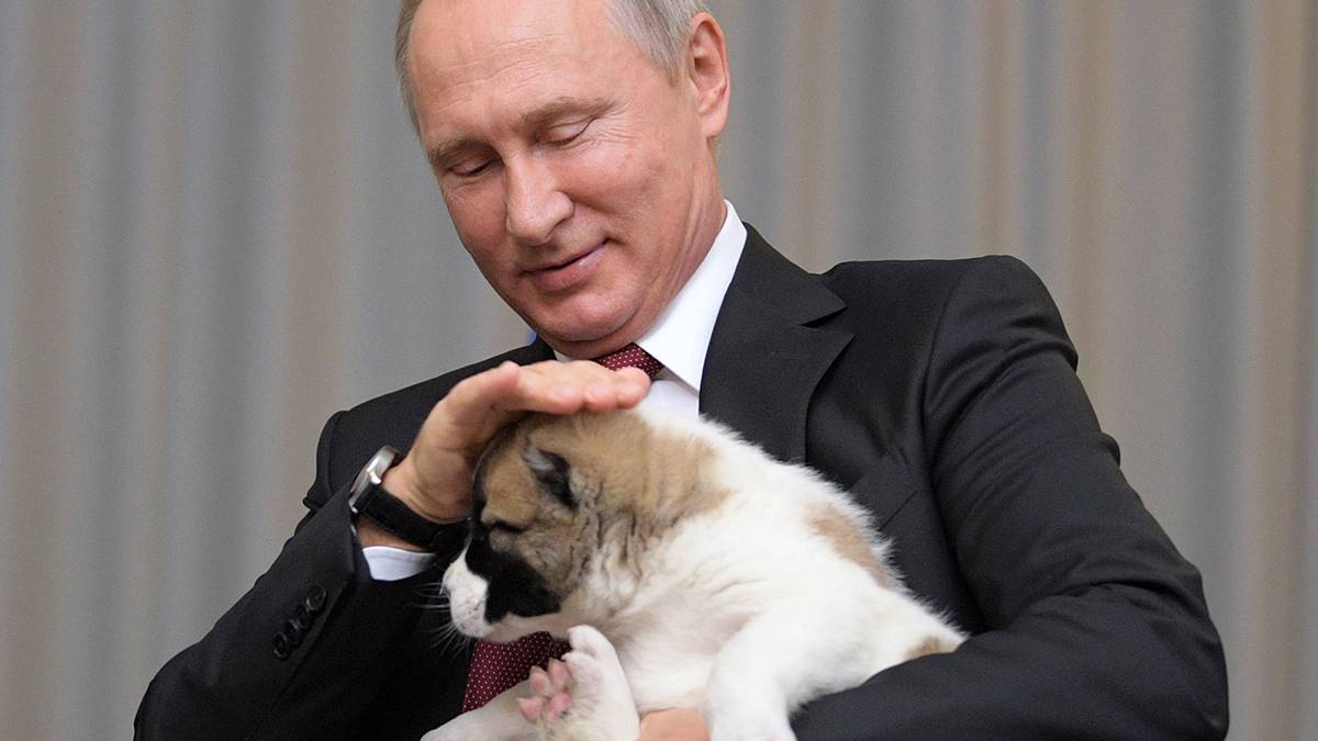Тигр и северный олень: каких животных дарили Владимиру Путину