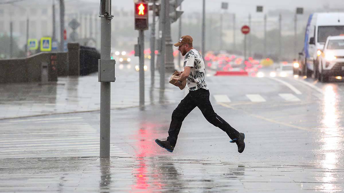 Москвичей призвали к осторожности из-за дождей и сильного ветра 3 июля