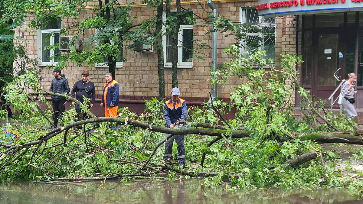 Два человека пострадали при падении деревьев во время урагана в Москве