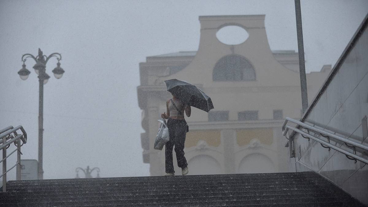 Дождь с грозой и усилением ветра ожидаются в Москве до конца дня
