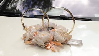 Зайцев пообещал наказать участников свадебного кортежа, стрелявших в Йошкар-Оле