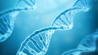 Science: Ученые проследили прыжок гена в ДНК вируса