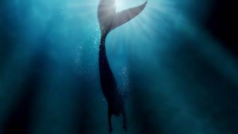 Народные приметы на 20 апреля 2026 года