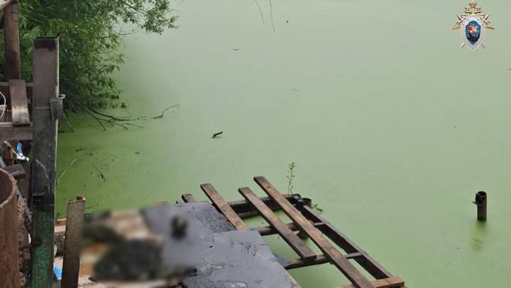 Человеческие останки обнаружили на дне водоема в Новой Москве