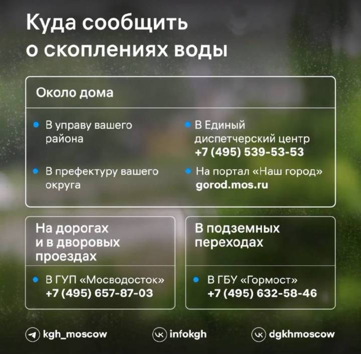 Москвичам рассказали, куда можно сообщить о скоплениях воды на улицах