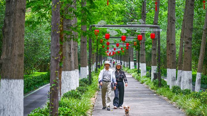 Российский лес вырубают и везут в Китай: конкретные примеры, как ловят преступников, какое наказание