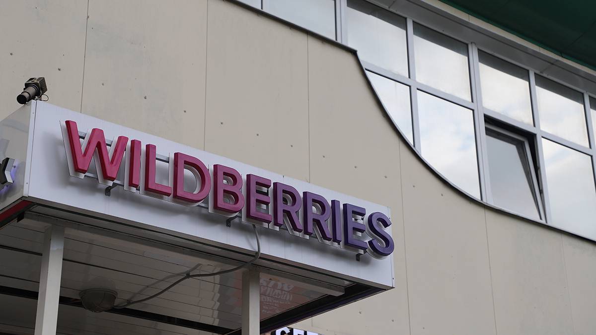 Глава DNS Алексеев предупредил владелицу Wildberries о риске потери бизнеса