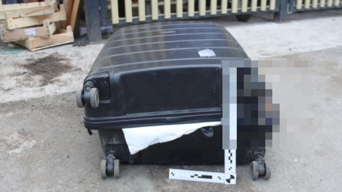 Мать задушила и выбросила: что известно об обнаружении мальчика в чемодане в Перми