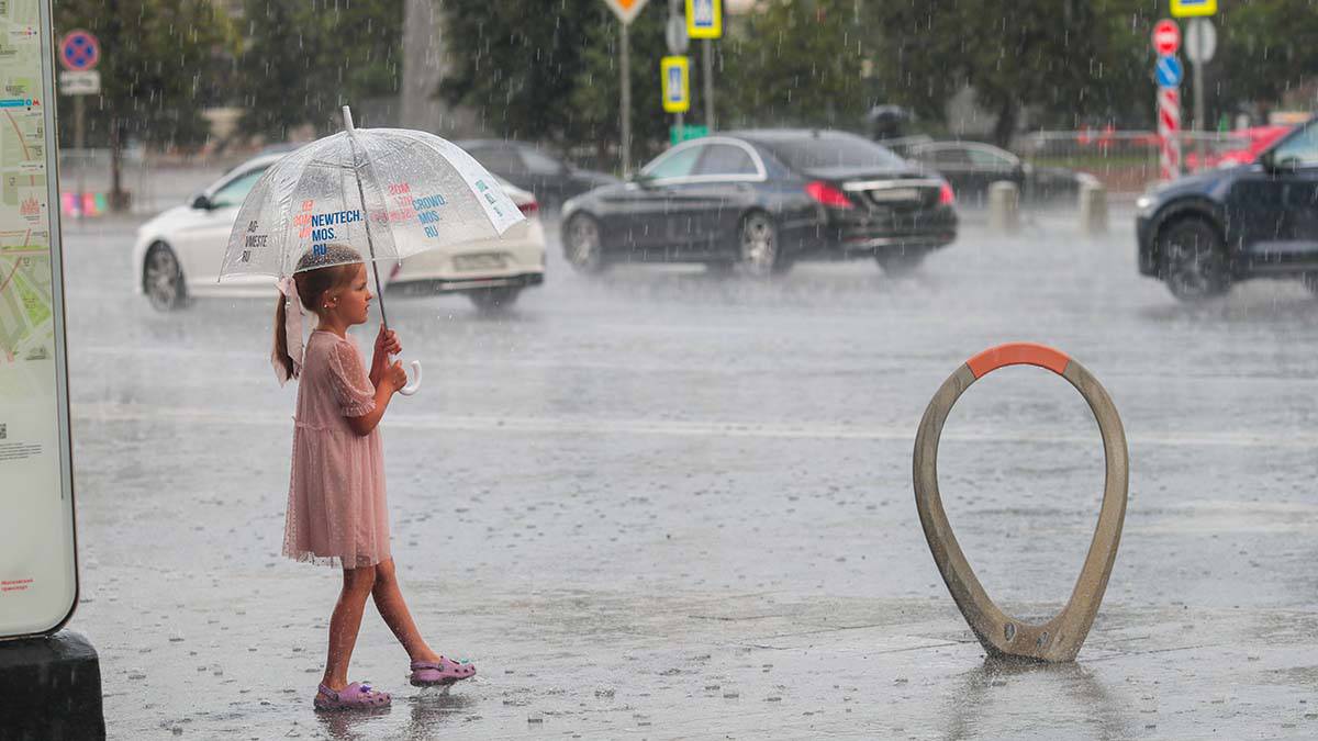 Метеоролог Позднякова: Понедельник в Москве станет самым дождливым днем в июле