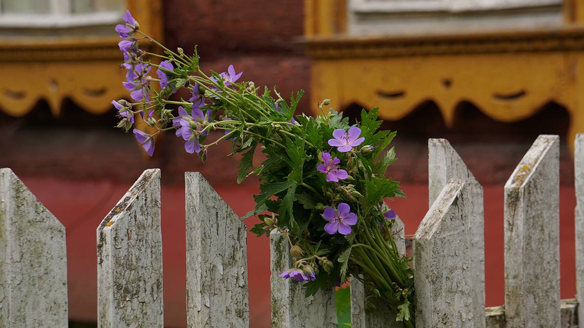 Россиянам напомнили о сроках приведения земельного участка в порядок