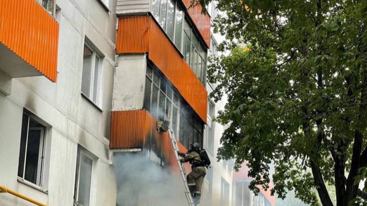 МЧС раскрыло подробности пожара на северо-западе Москвы