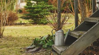 Что можно сажать на огороде поздней осенью