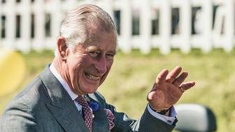 Громыко: Поездка Карла III в США не изменила позиции Трампа по Украине