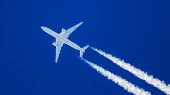 Baza: Футболист «Динамо» Муми Нгамале опоздал на самолет из-за ссоры с девушкой