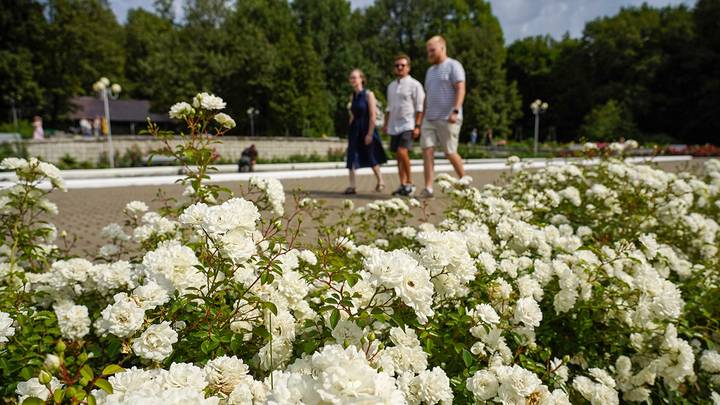 Мое любимое место в Москве. София Воронина