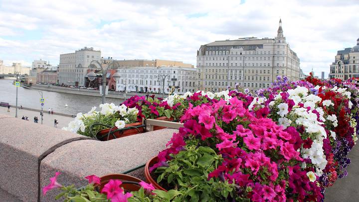 Фото: Мария Хапцова / Вечерняя Москва