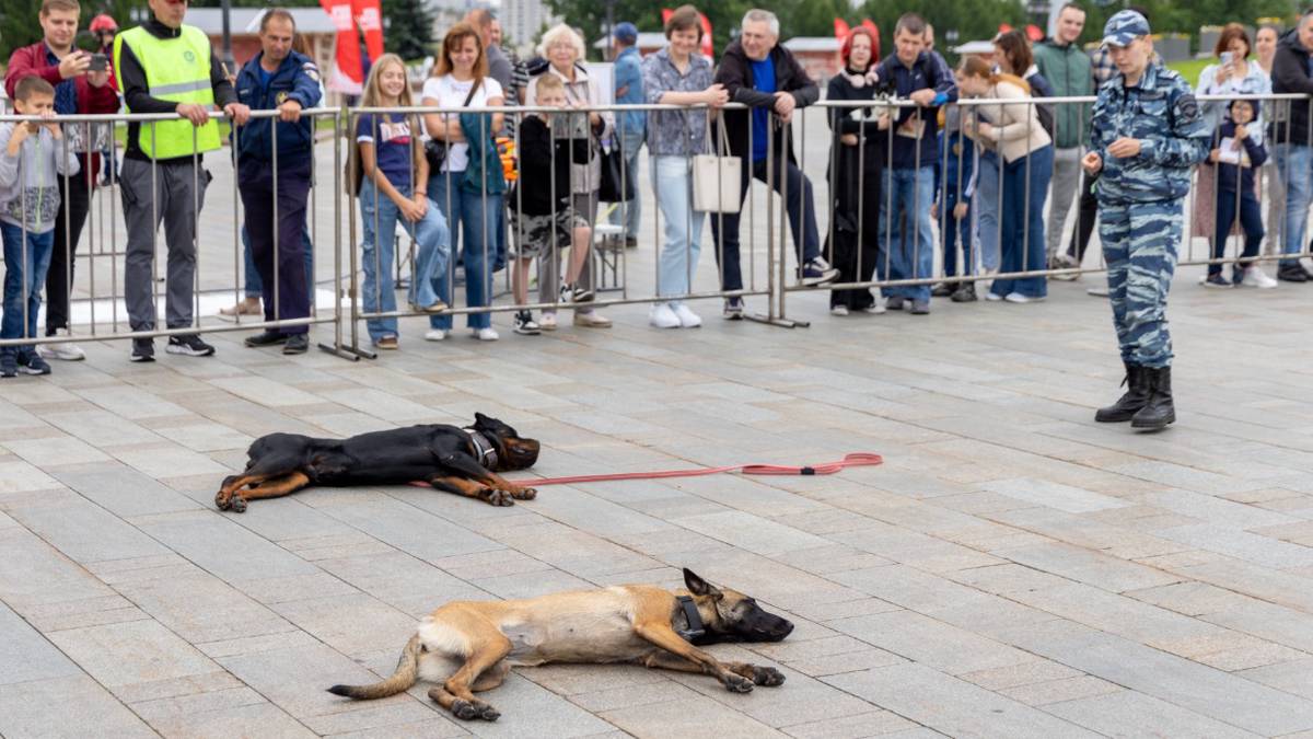 Гости мемориального комплекса на Поклонной горе познакомились с профессией кинолога