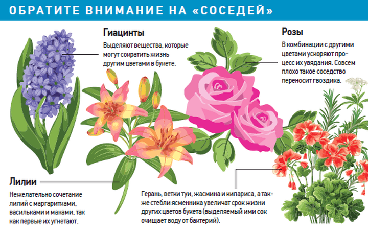 Как сэкономить на цветах к 1 сентября