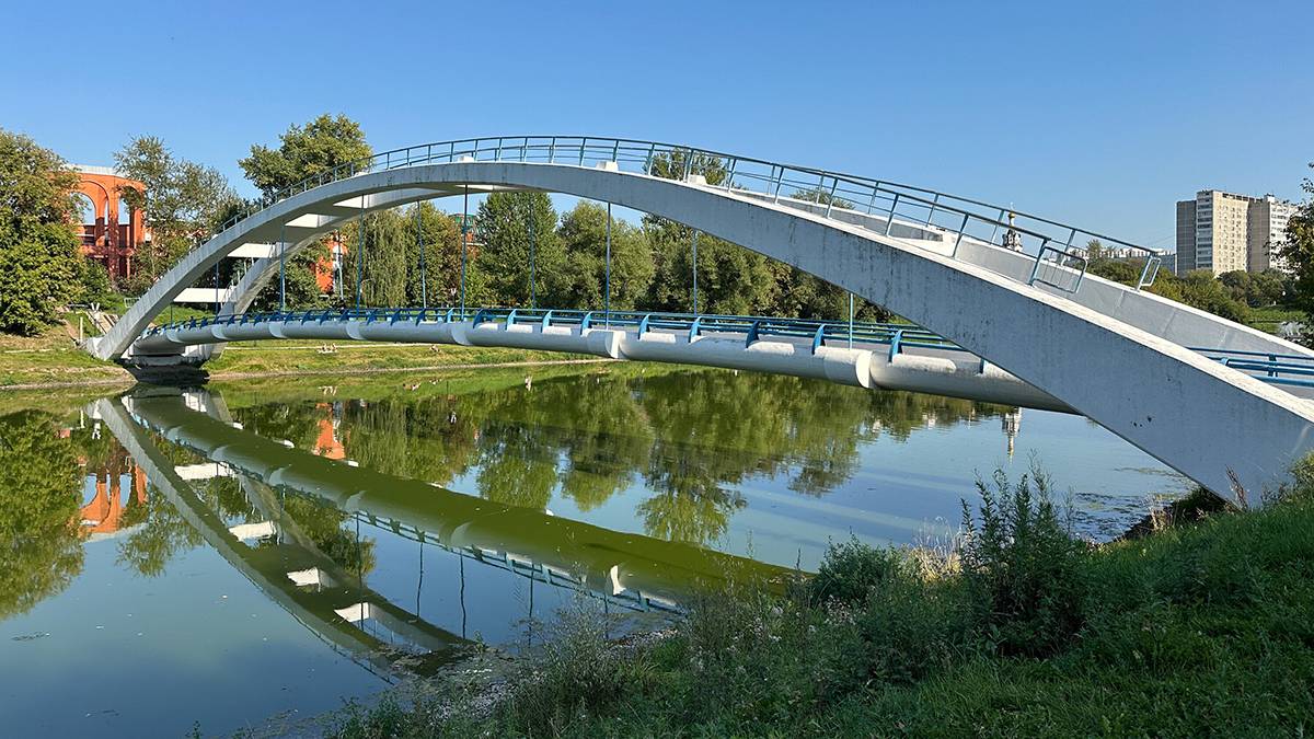 Парень и девушка прыгнули с моста в Черкизовский пруд в Москве